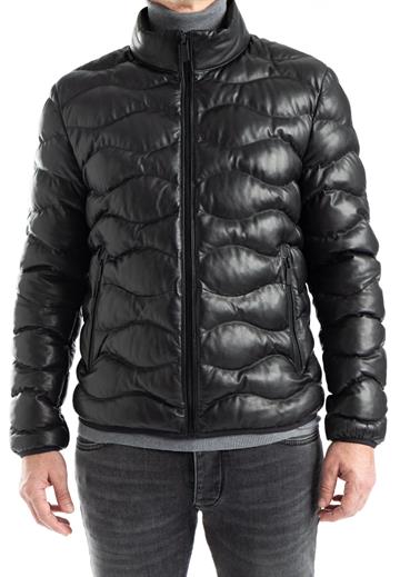 LLOYD RODNEY Herrjacka