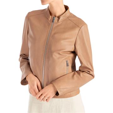 LLOYD BEGONIA Damjacka