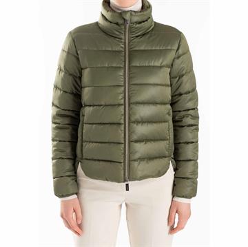 LLOYD ANGIE Damjacka