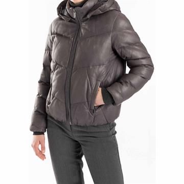 LLOYD BELIA Damjacka