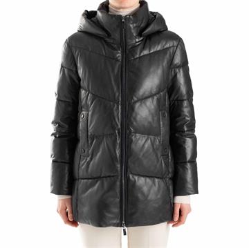 LLOYD HEDDY Damjacka